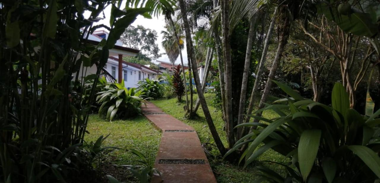 Geliwa B&B Turrialba Exteriör bild